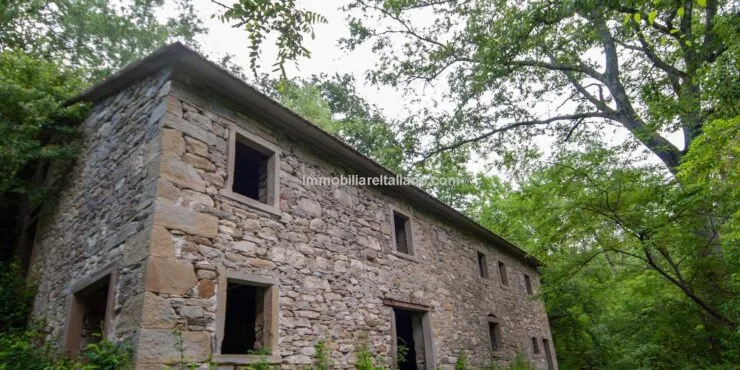 Water mill for sale