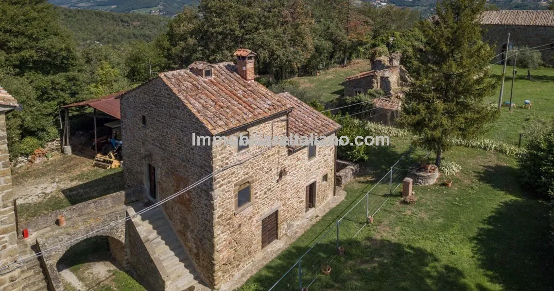 Character Property Character Property