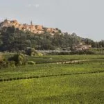 View of estate and Montepulciano