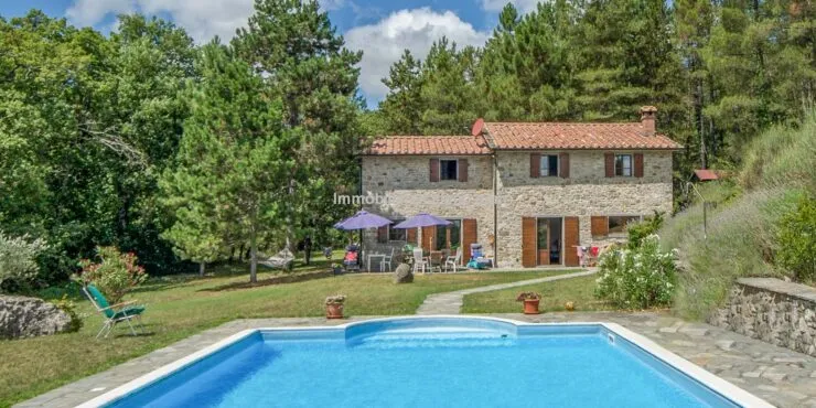 SOLDCaprese Michelangelo villa with pool