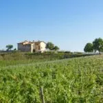 View of Tuscan vineyard estate