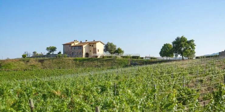 Italian Commercial Opportunity with Expansion Potential