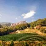 Aerial view of Italian vineyard for sale