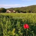 View of Tuscan home and income property
