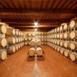 View of barrels in Tuscany winery