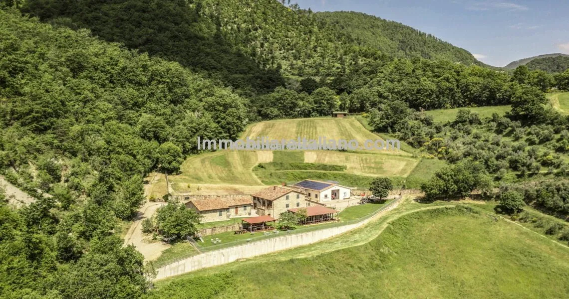 Agriturismo and Organic Farm Estate