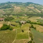 View of Emilia Romagna Wine Estate