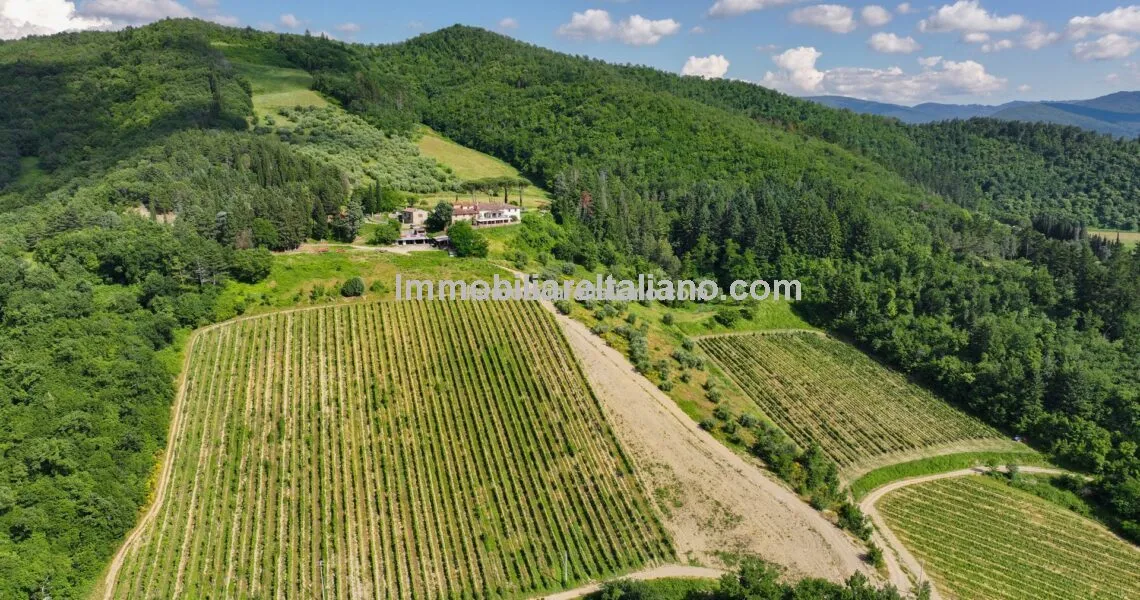 Tuscan Vineyard and Winery