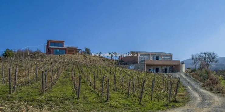 Tuscan Organic Wine Estate