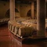 Marche Organic Winery