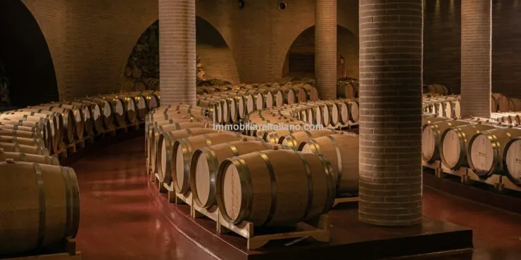 Organic Winery and Villa Estate