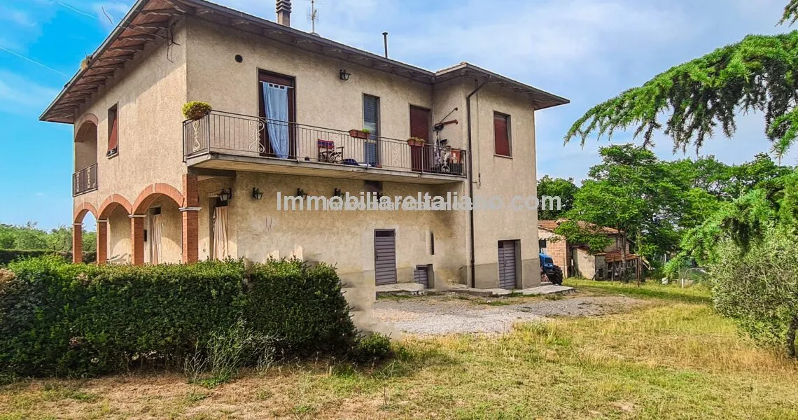 Italian vineyard Italian vineyard