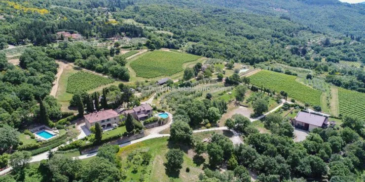 Organic wine estate for sale in Tuscany