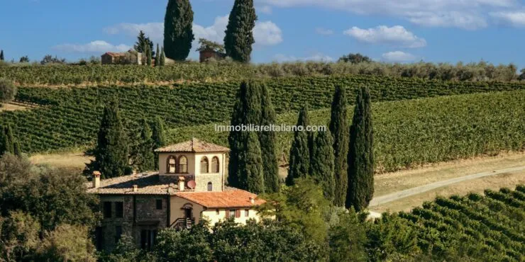 Chianti Wine Estate San Casciano Val di Pesa