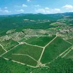 View of Chianti classico estate and vineyards