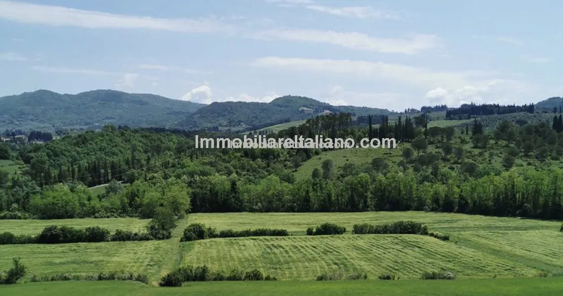 Farmland in Tuscany Farmland in Tuscany