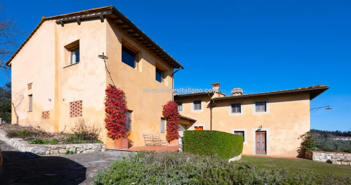 Make your own extra virgin olive oil Make your own extra virgin olive oil