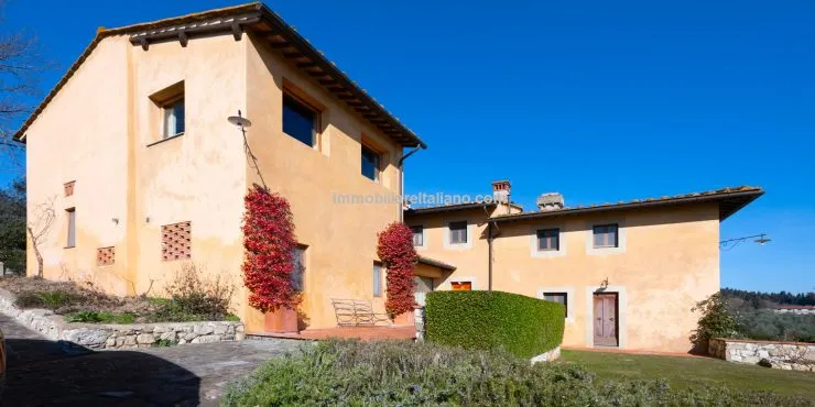 Make your own extra virgin olive oil