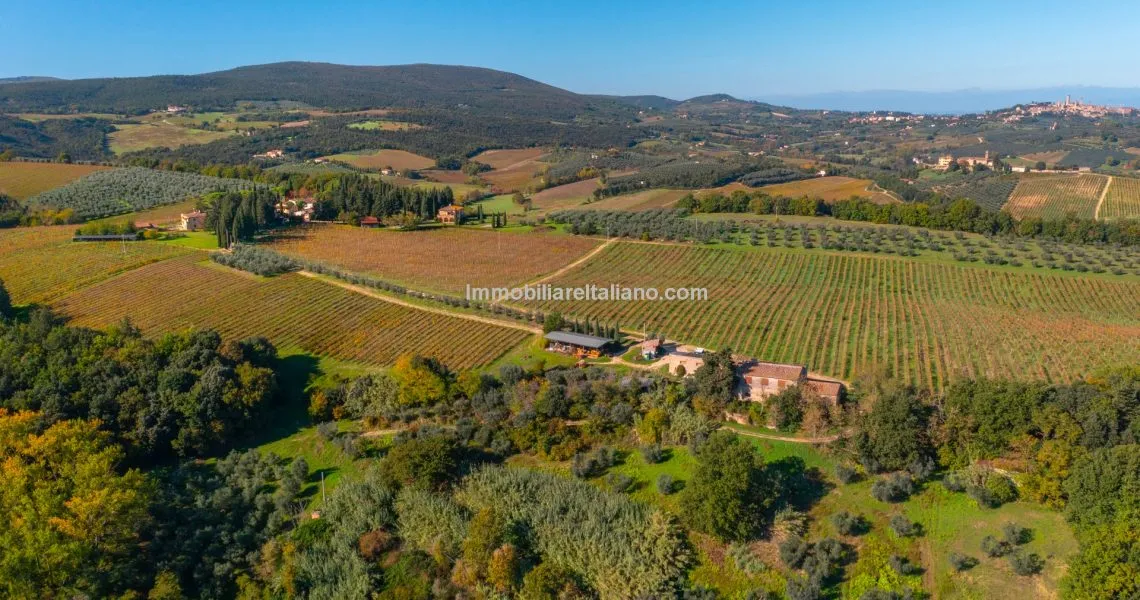 San Gimignano Wine Farm San Gimignano Wine Farm