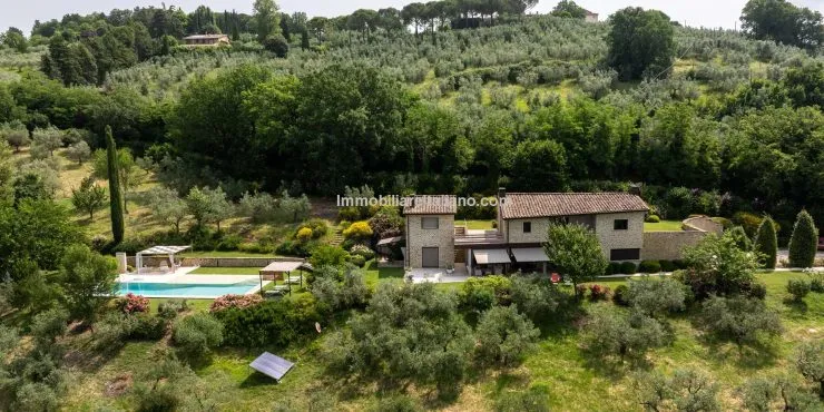 Luxury Home and Income Property