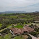 View of Organic wine and olive estate with sea view Ortobello Tuscany Italy