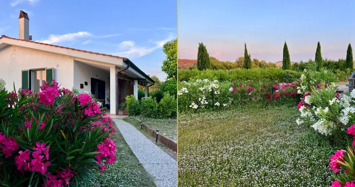 Organic Wine Estate Organic Wine Estate