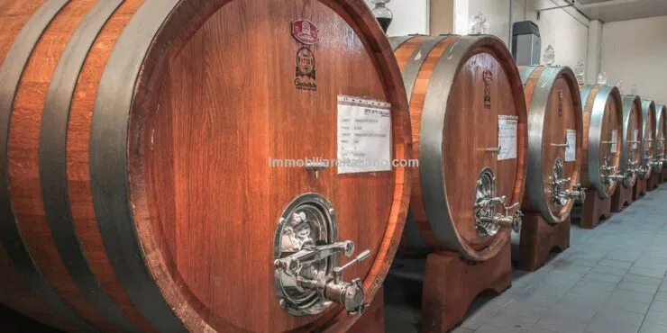 Italy Business – Share of Wine Estate