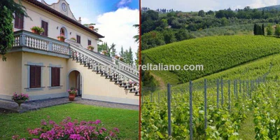 Wine, Olives, Land, Home and Tourist Accommodation