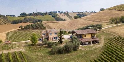 Vineyard For Sale Le Marche