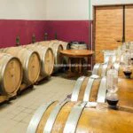 View of barrels in Tuscan winery