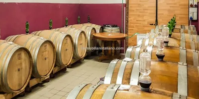 Wine and Farm Estate