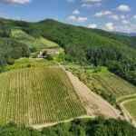 View of vineyard and winery in Tuscany Italy