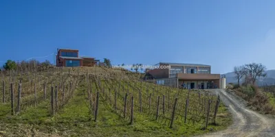 Tuscan Organic Wine Estate