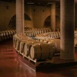 Marche Organic Winery