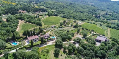 Organic wine estate for sale in Tuscany