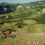 View of farm for sale Cesena Emilia Romagna Italy