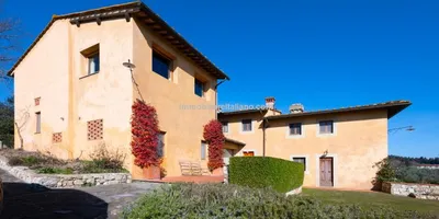 Make your own extra virgin olive oil