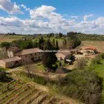 View of wine estate and farm, Certaldo Tuscany Italy