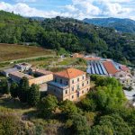 View of winery and wine estate for sale Lamezia Terme Catanzaro Calabria Italy