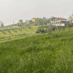Emilia Romagna property for sale, Felino near to Parma