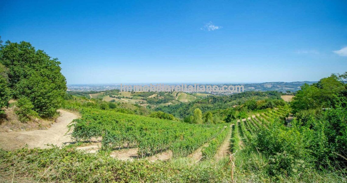 Organic Wine Estate