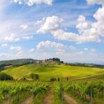 view of land Tuscan agriturismo and wine estate