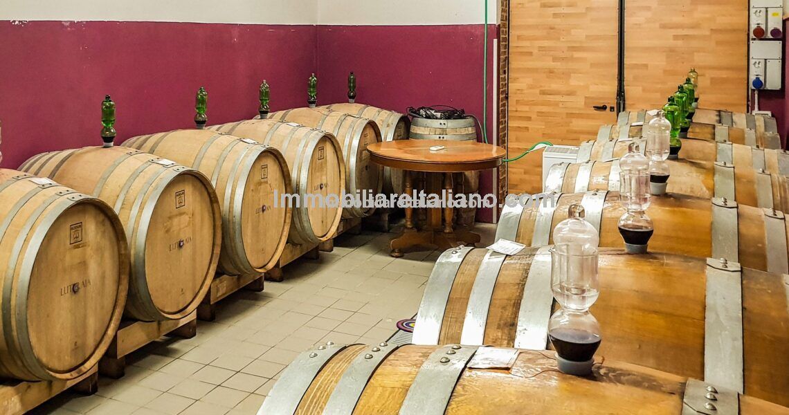 Wine and Farm Estate