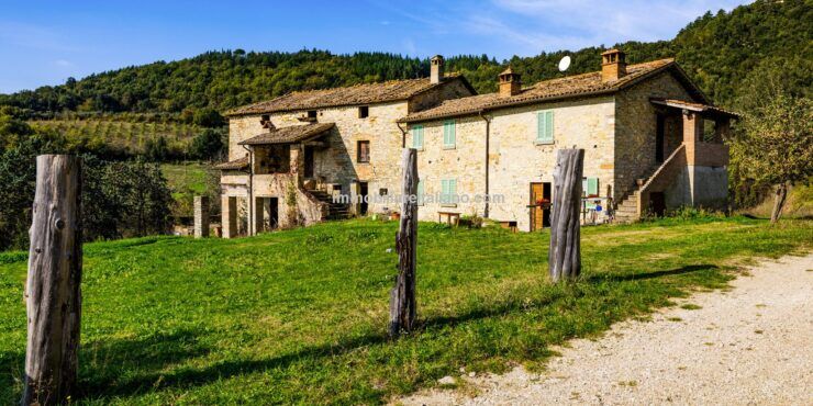 Farm House Needing Restoration