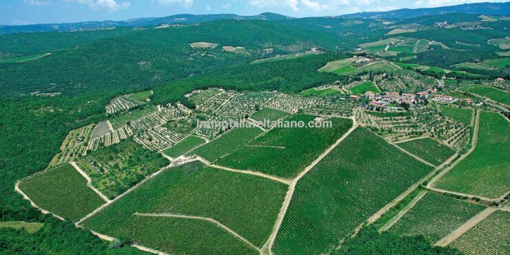 Chianti Winery