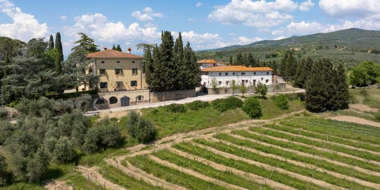 Wine Estate For Sale