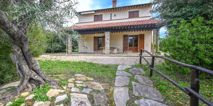 Italian Winery and Vineyard for Sale