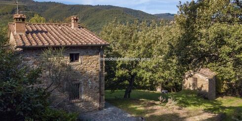 Country Home