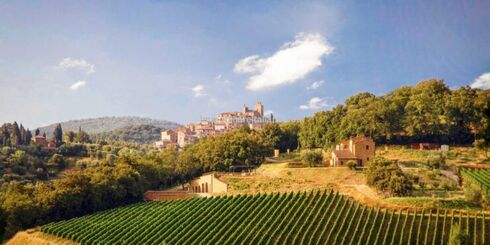 Vineyard for sale Italy