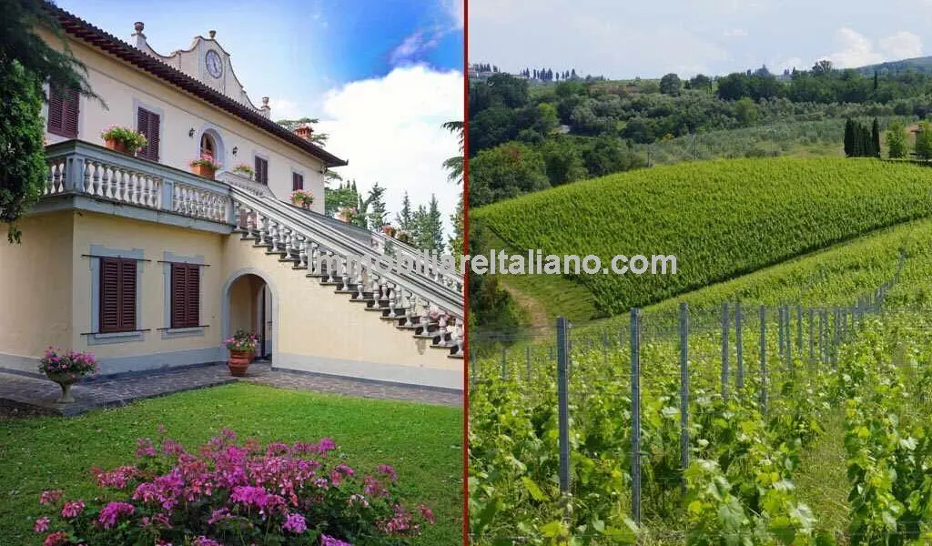 Wine, Olives, Land, Home and Tourist Accommodation